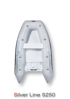 �������� ����� Grand Marine SILVER LINE Tenders S250 � ������� �������� (RIB)